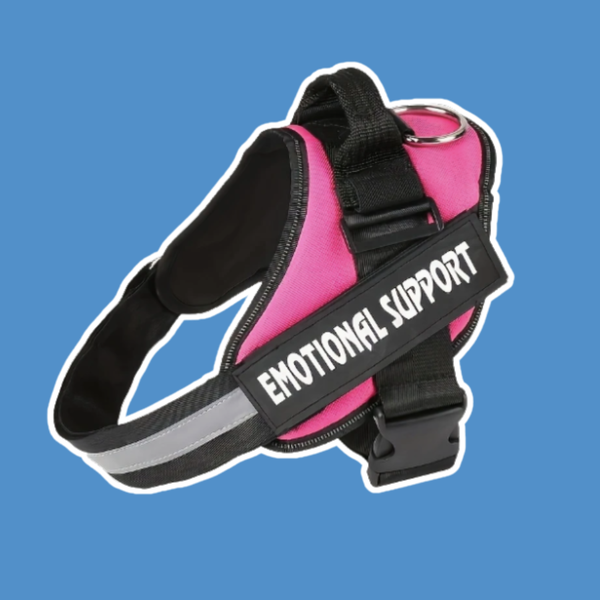 Accessories For ESSAs