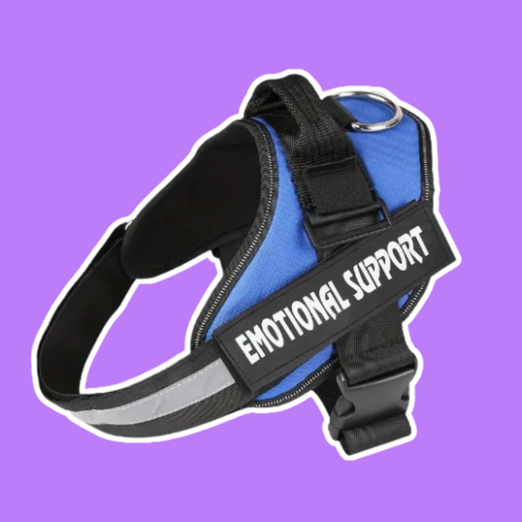 Accessories For ESSAs