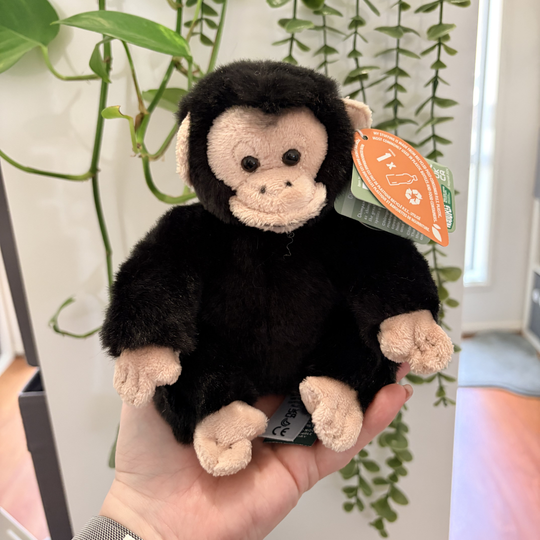 Chimp | Living Nature | Plushie