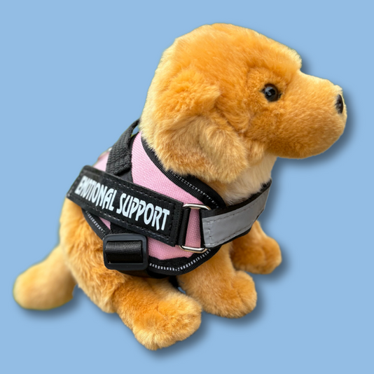 Little Paws Plushies | Emotional Support Stuffed Animals