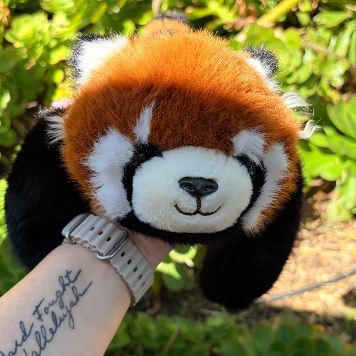 Red Panda 30cm | Mad Ally | Weighted Plush Toy