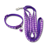 Purple dog leash and collar set