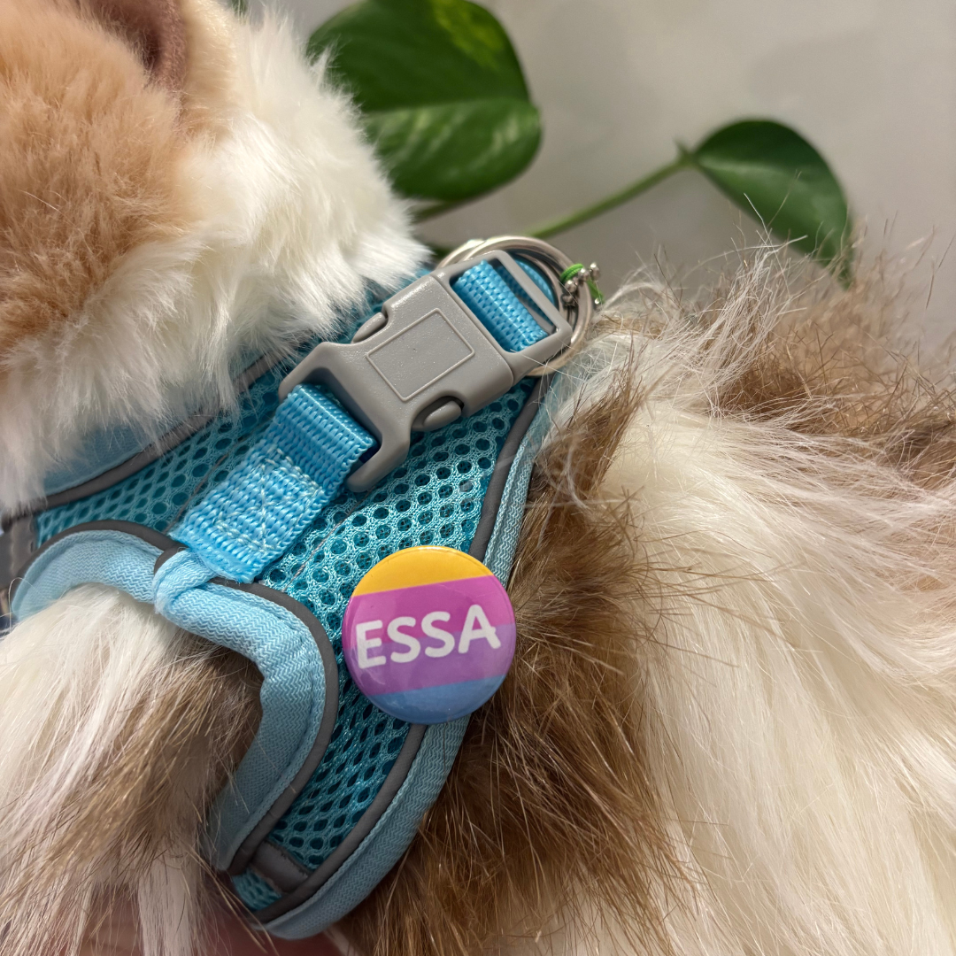 ESSA Badge
