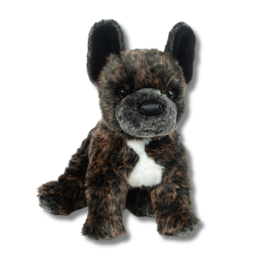 Billie French Bulldog | Douglas Dog