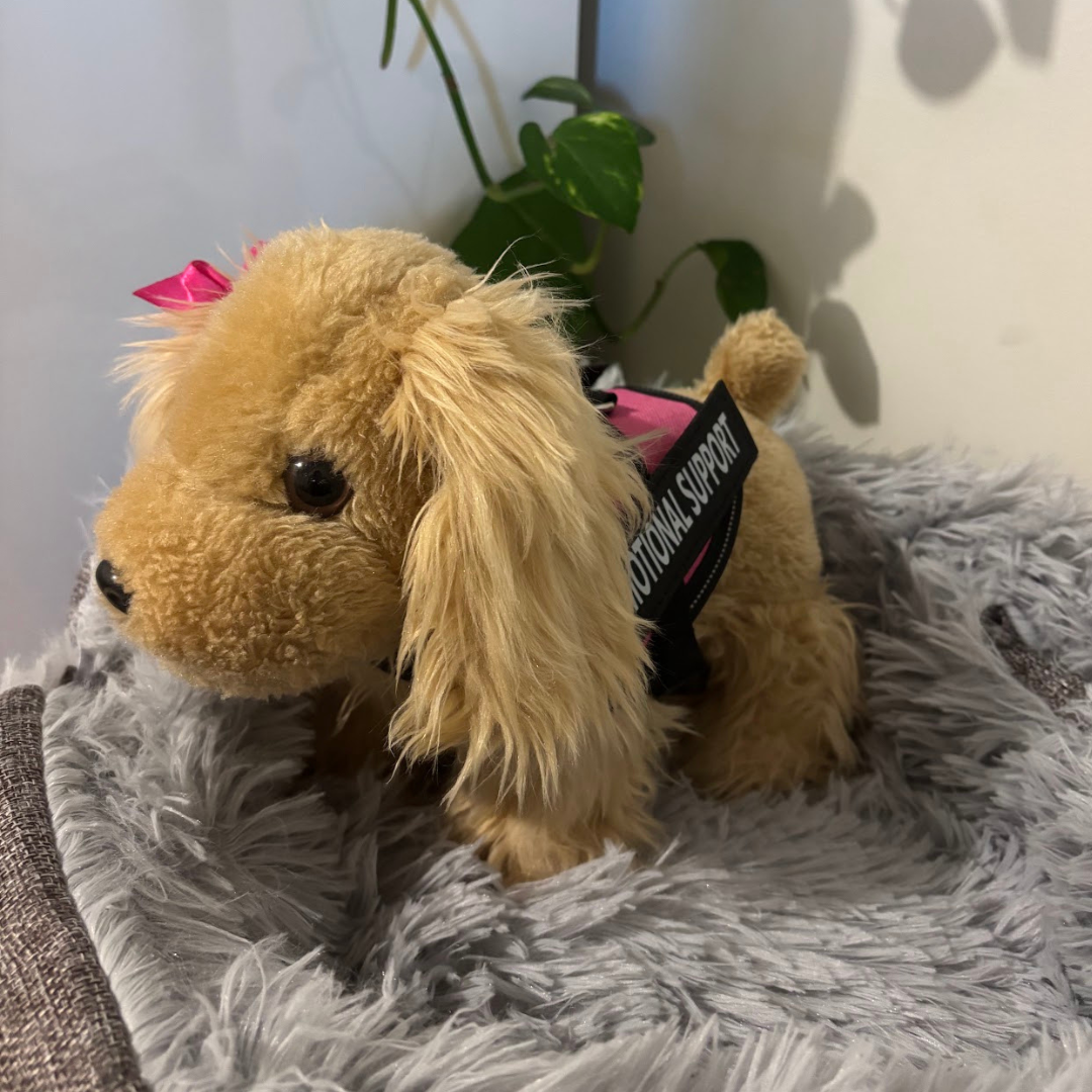 Little Paws Rescue | Brown Dog