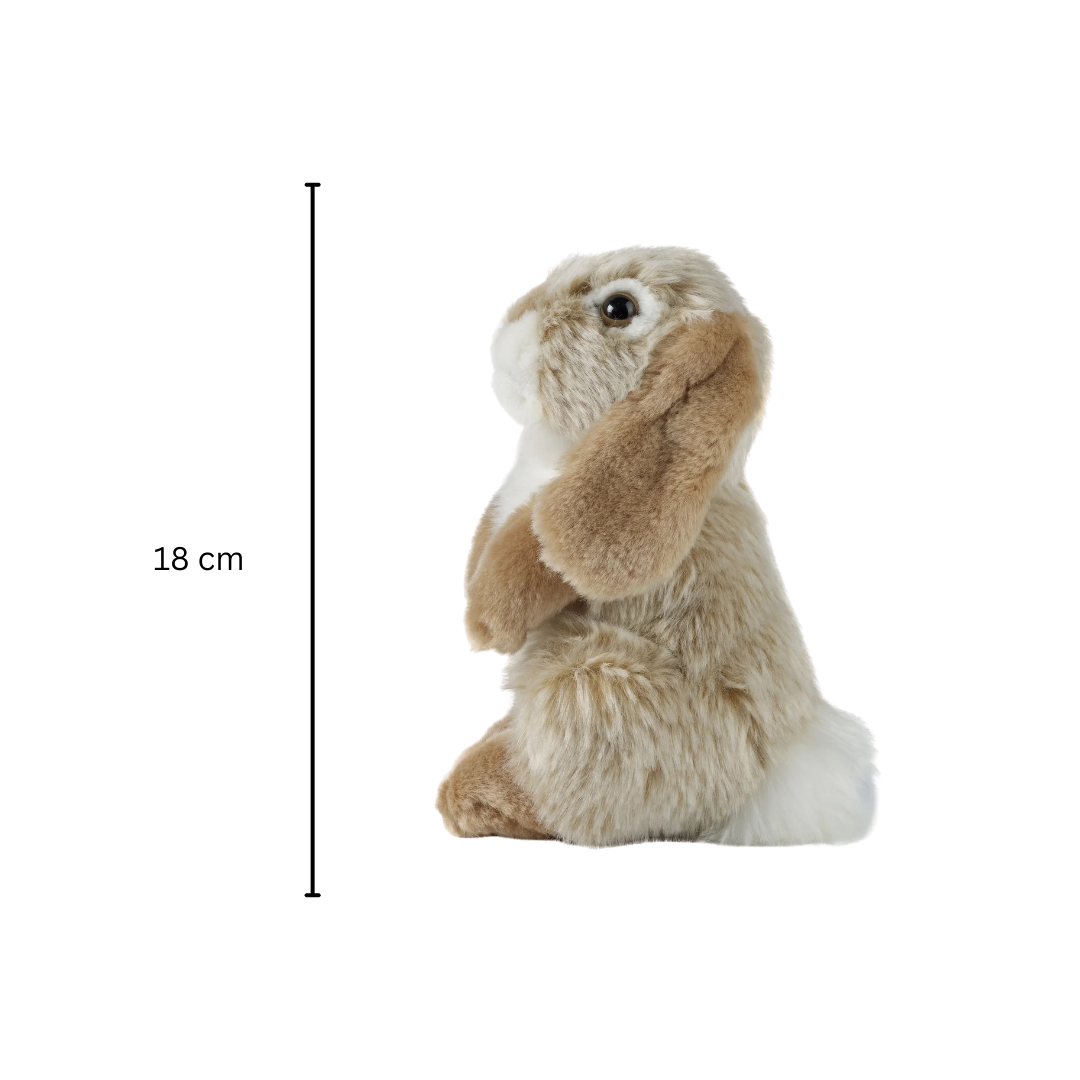 Brown Sitting Lop Rabbit | Living Nature | Plushie β Little Paws Plushies