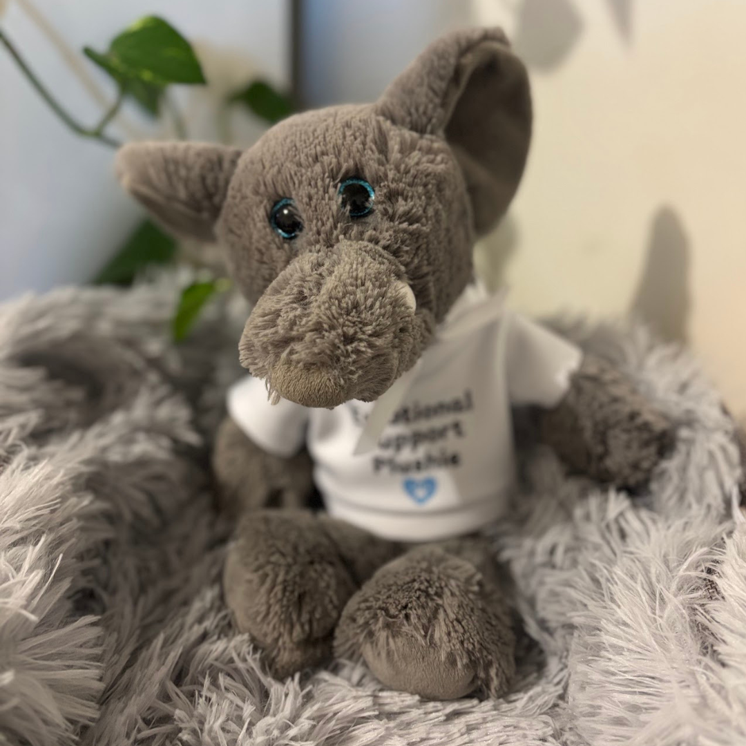 Little Paws Rescue | Elephant