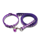 Purple dog leash and collar set