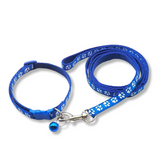 Blue dog leash and collar set