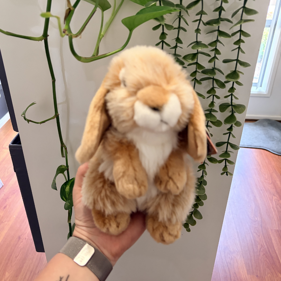 Brown Sitting Lop Rabbit | Living Nature | Plushie
