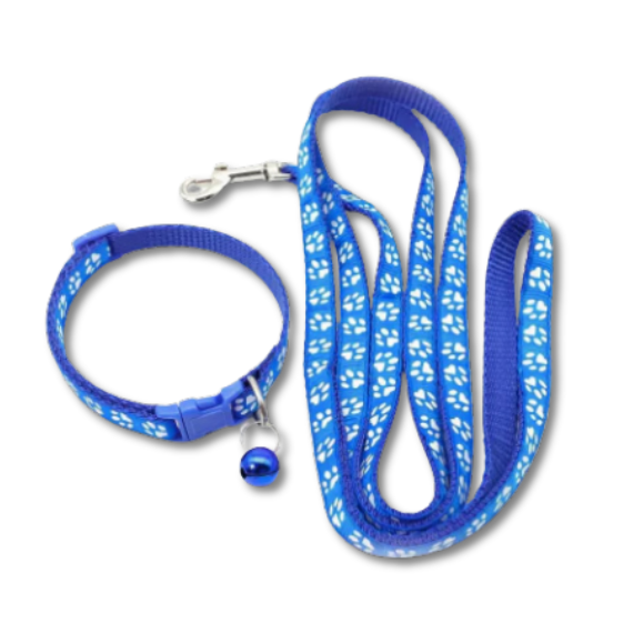 Blue dog leash and collar set