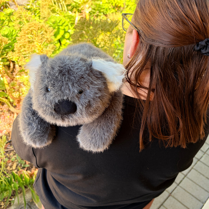 Koala 30cm | Mad Ally | Weighted Plush Toy