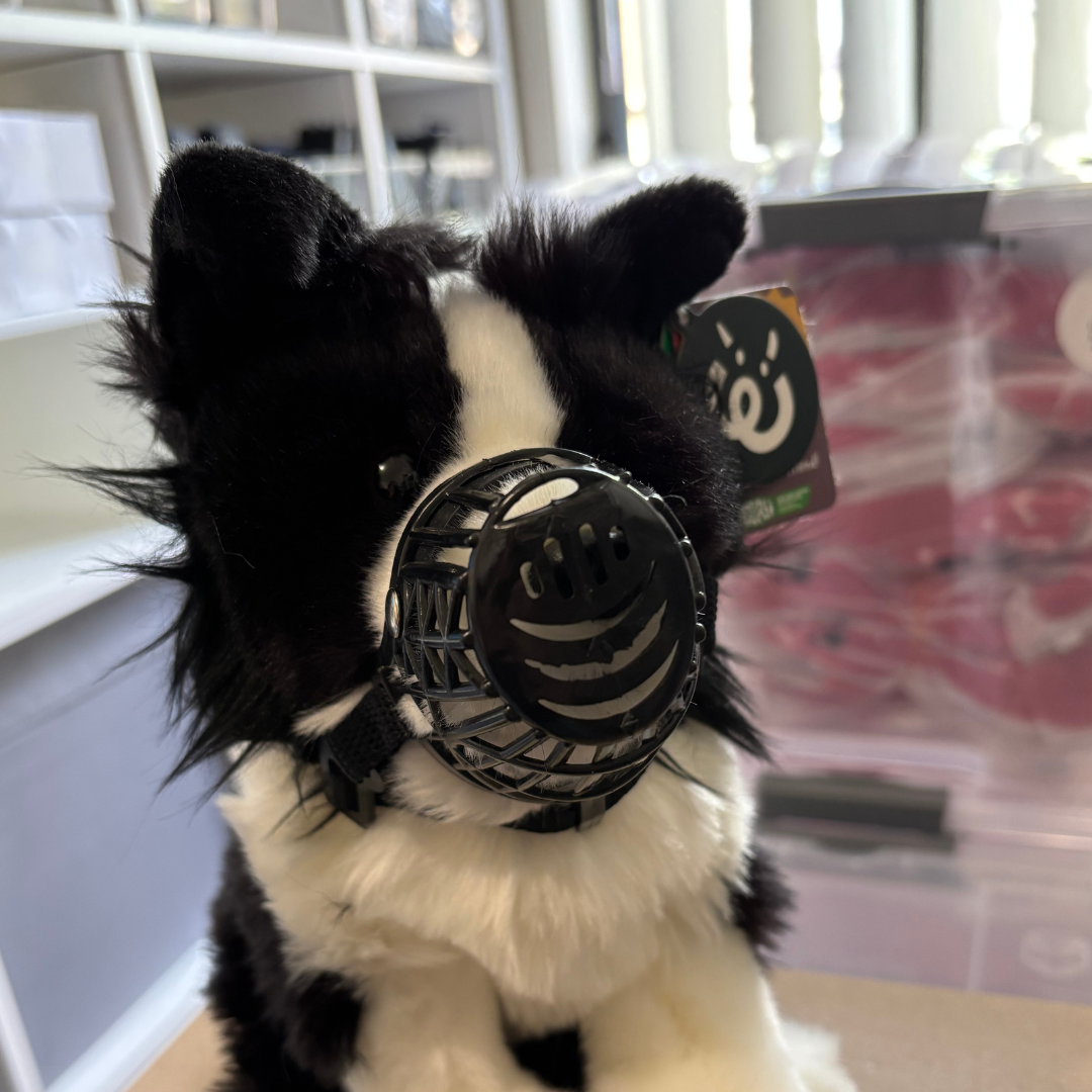 Dog Muzzle | ESSA Gear