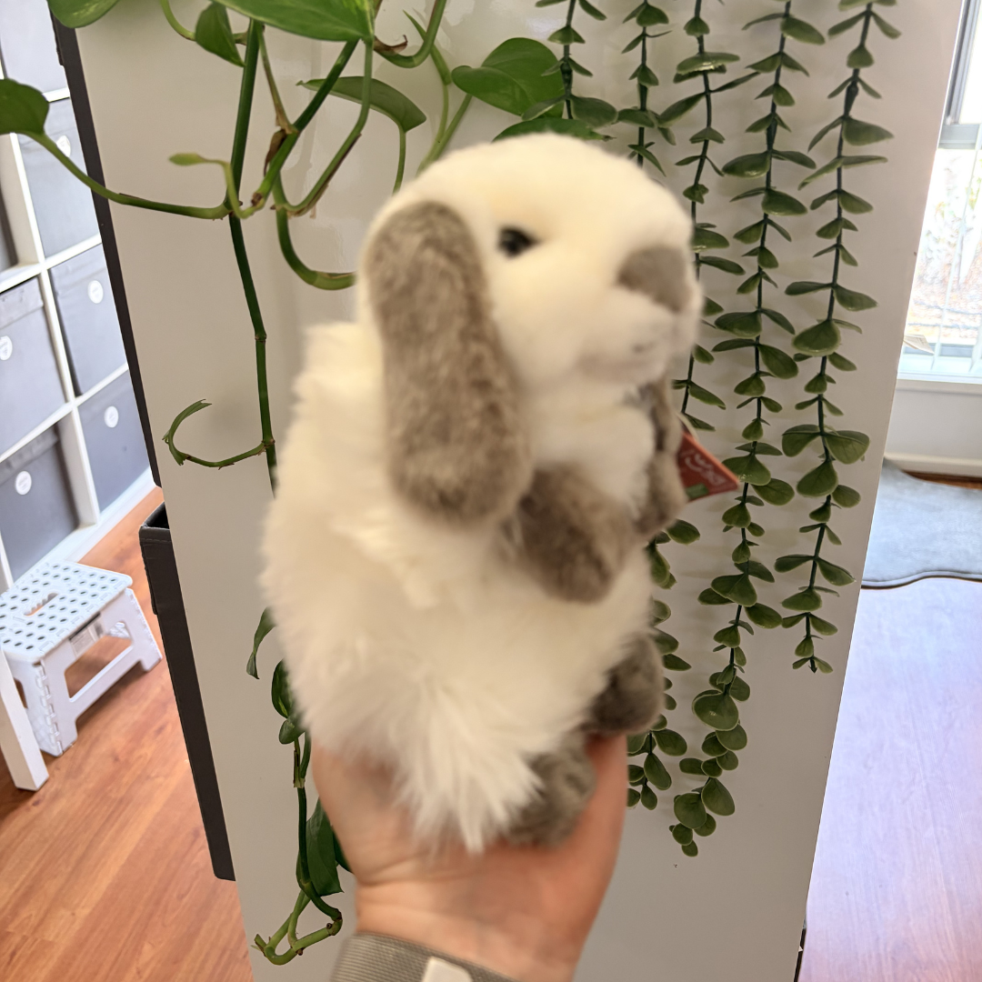 Grey & White Sitting Lop Rabbit | Living Nature | Plushie – Little Grey & White Sitting Lop Rabbit | Living Nature | Plushie – Little