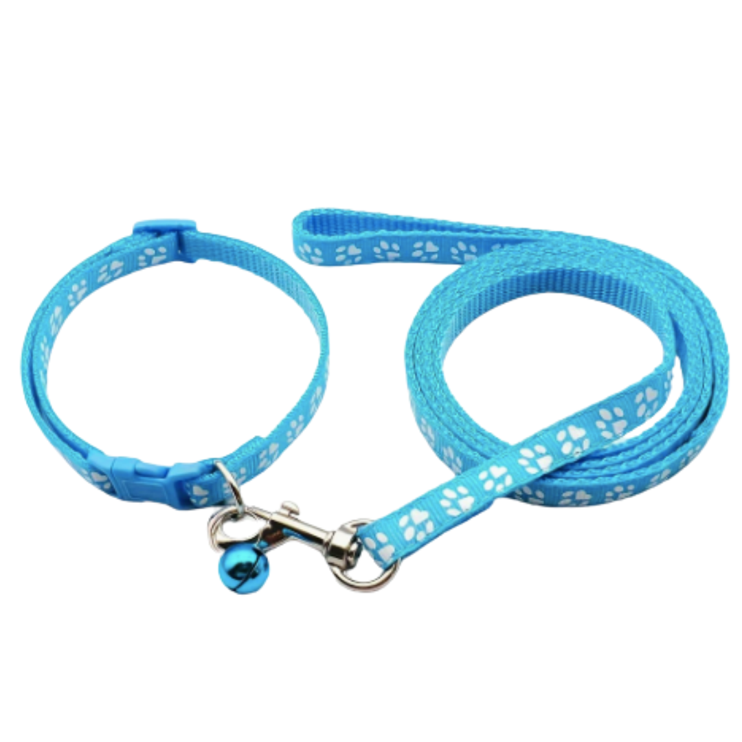Collar