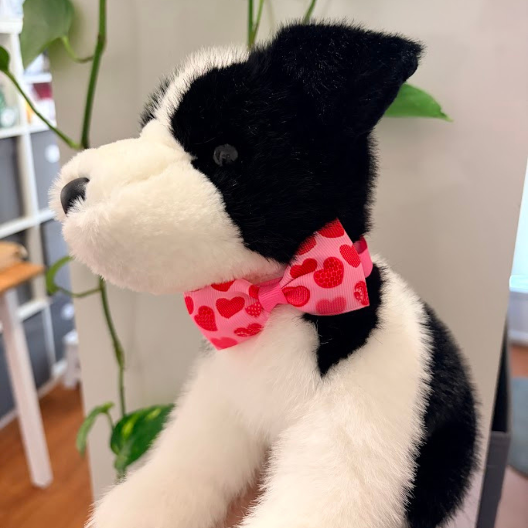 Valentine's Day Collars