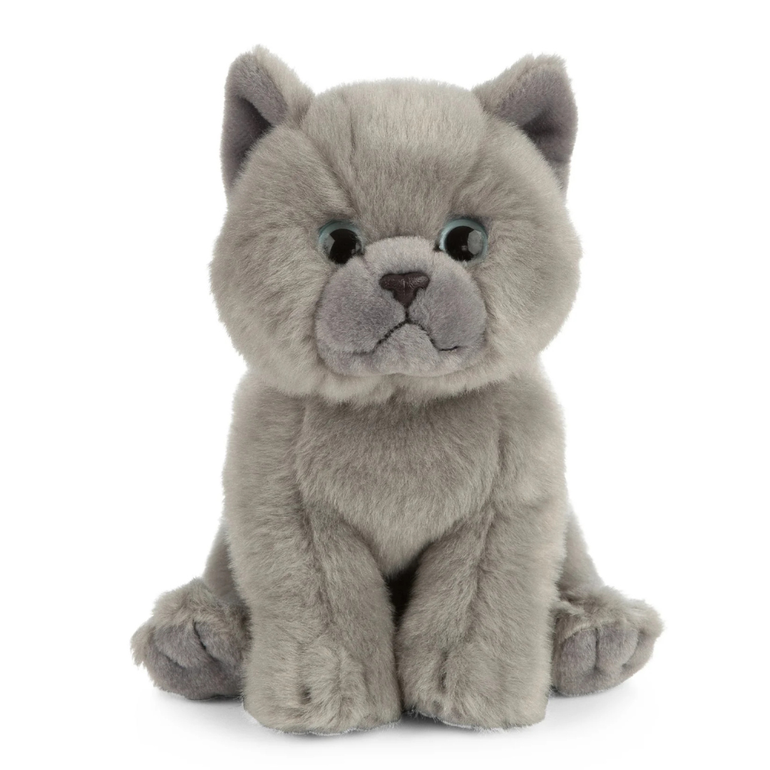 Brittish Shorthair Kitten | Living Nature | Plushie