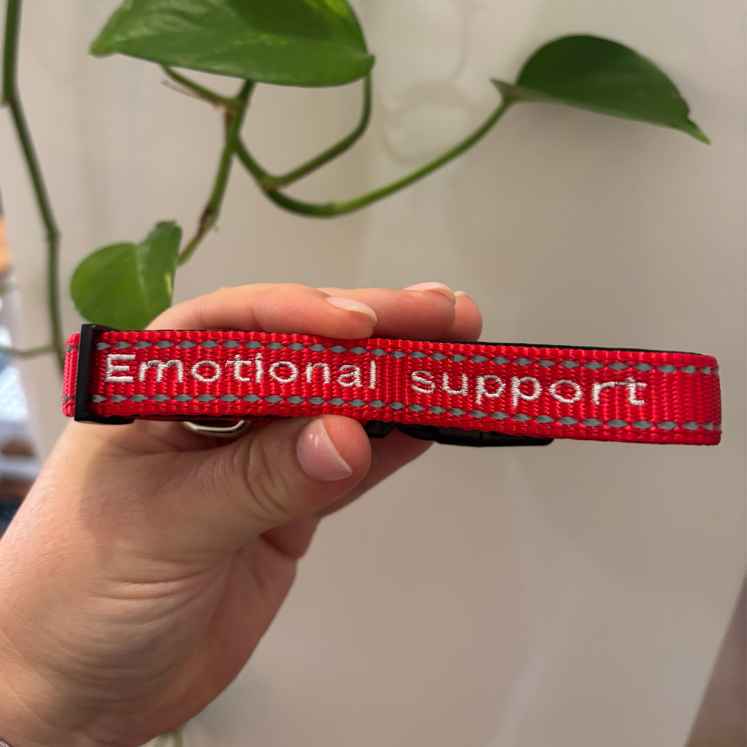 Red 'Emotional Support' dog collar held by a hand with a plant in the background