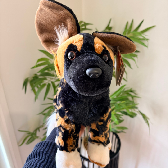 A African wild dog plush toy with black and tan mottled fur, large floppy ears, and white paws, sitting in front of a green plant.