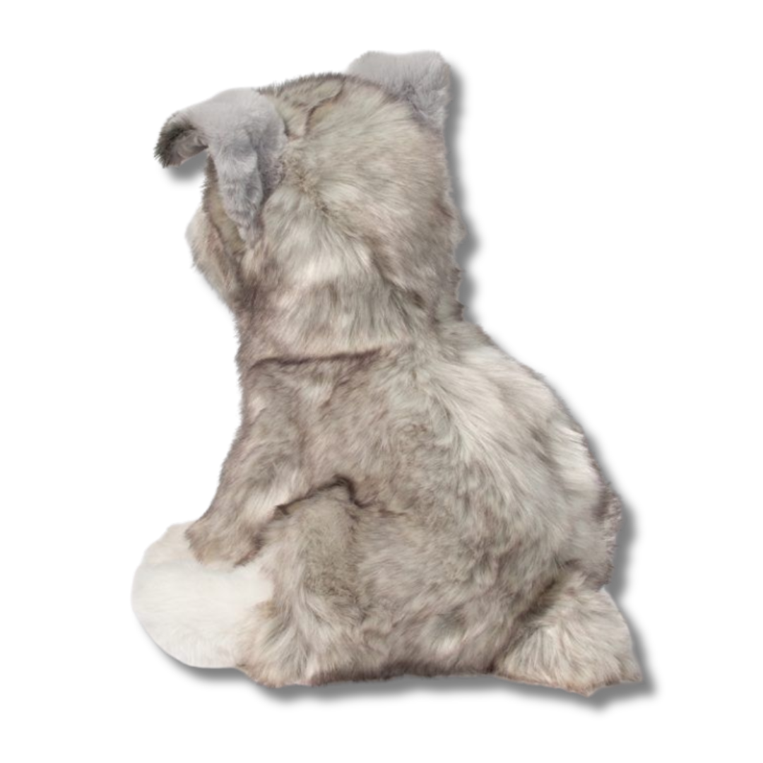 Arnold Schnauzer Douglas Dog back view