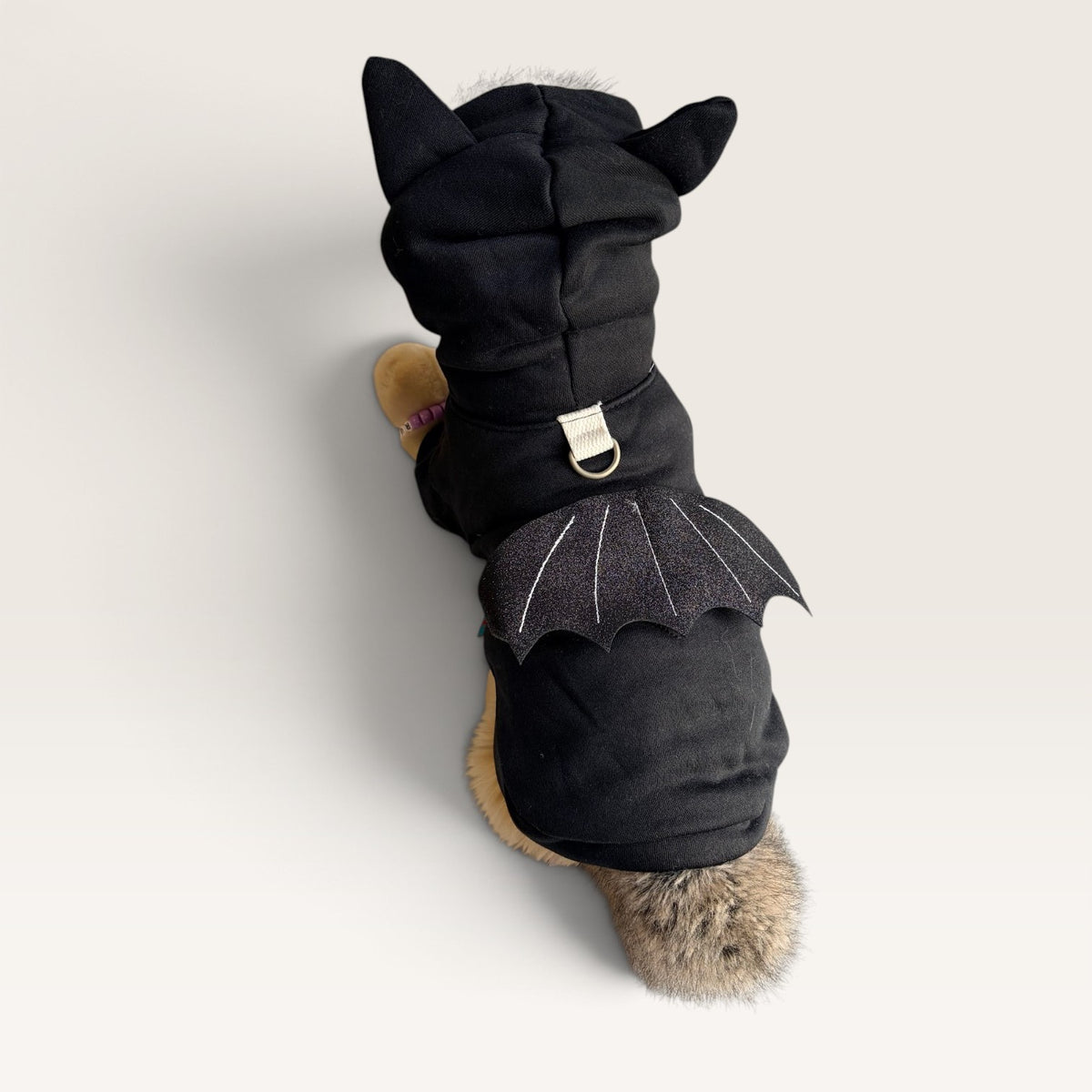 Black Hoodie for pet with bat wings for halloween on a plushie dog on a white backgorund.