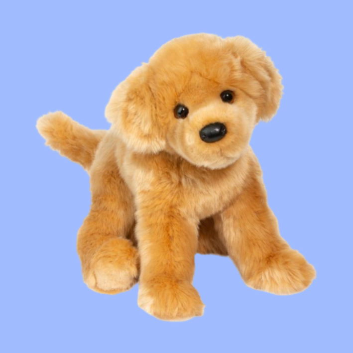 Golden Retriever dog on a blue background