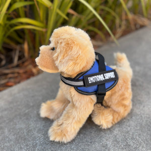 Bella Golden Retriever by Douglas Dog side view of plushie wearing blue emotional support vest