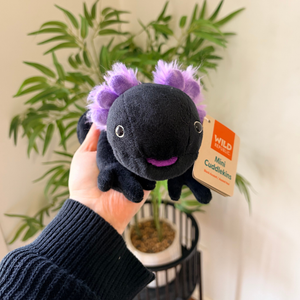 A person's hand holds a small plush toy called 'Mini Cuddleskins' by Wild Animals. The plush is black with fluffy purple ears and a purple stitched mouth.