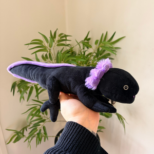 A black plush axolotl toy with purple accents, held in a person's hand against a background of a beige wall and green plant.