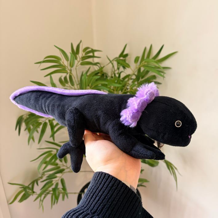 A black plush axolotl toy with purple accents, held in a person's hand against a background of a beige wall and green plant.