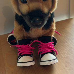 Stuffed dog toy wearing black and white sneakers with pink laces on a wooden floor.