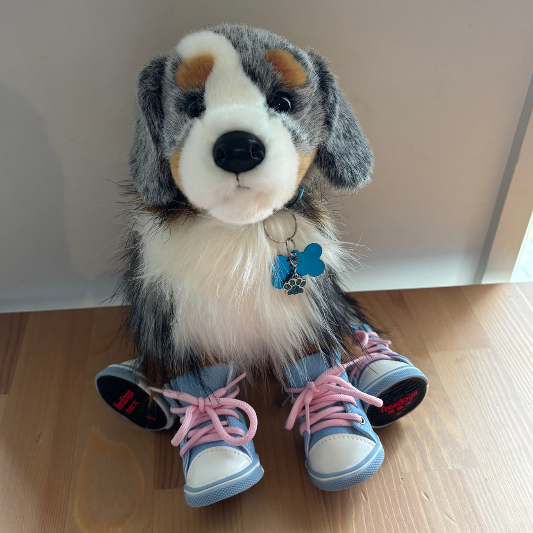 Plush dog toy with blue and pink shoes on a wooden floor