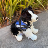 Chase the Border Collie Dog by Douglas Dog wearing a blue emotional support vest