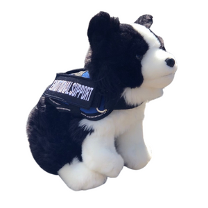 Emotional Support Stuffed Animal - Brave The ESSA Border Collie - ESSA - Border Collie wearing a blue ESSA gear