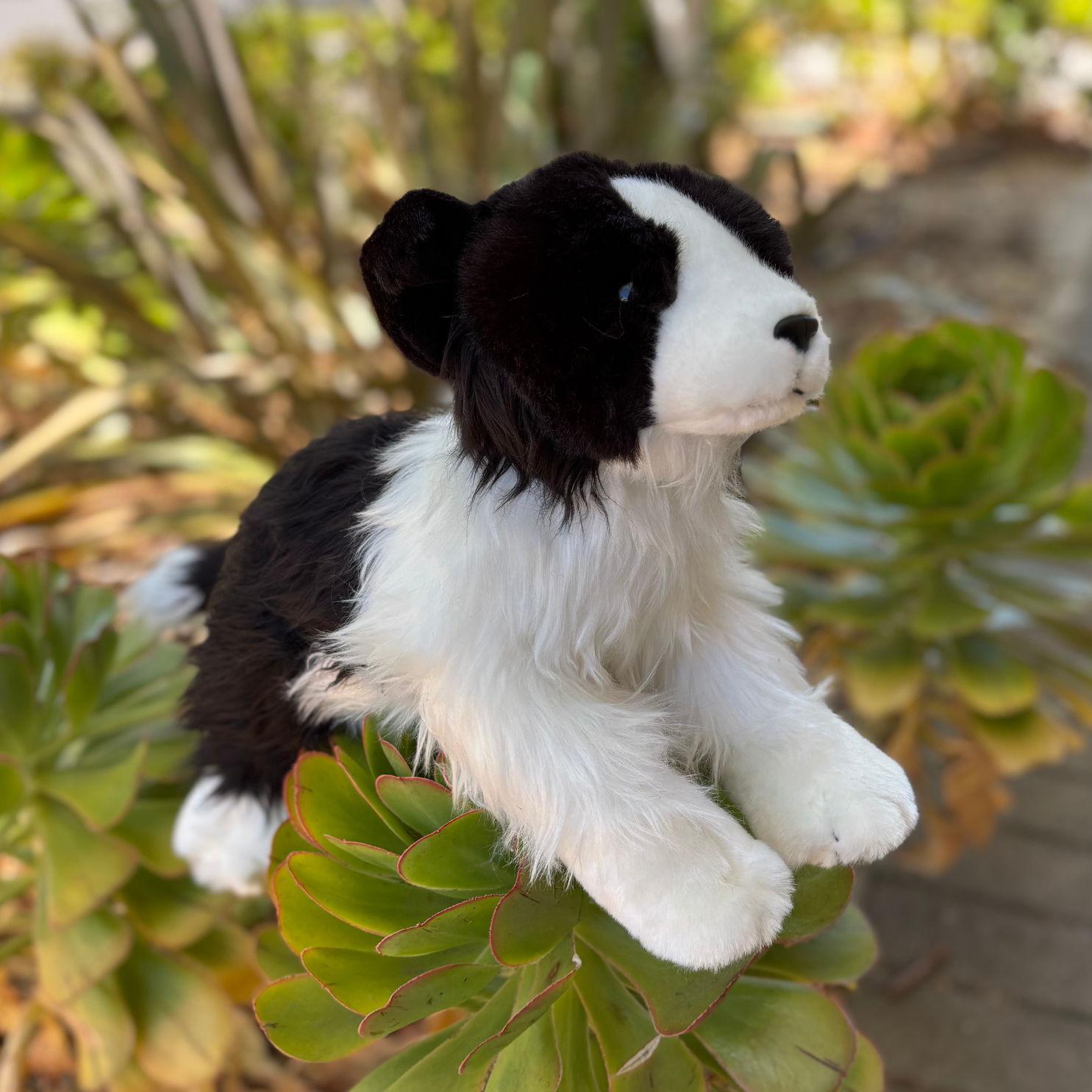Plush black and white dog toy on a green plant
