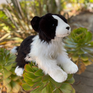 Plush black and white dog toy on a green plant