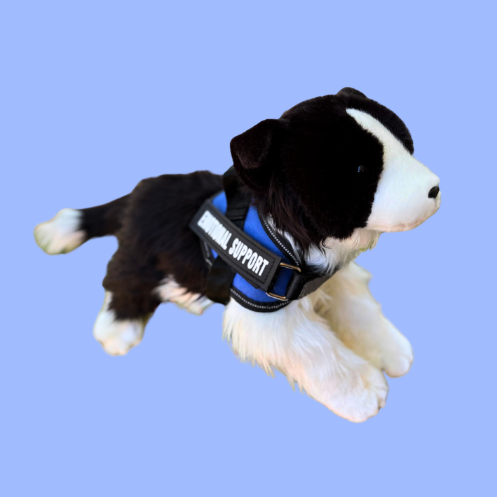 Border Collie plush dog on a light purple background