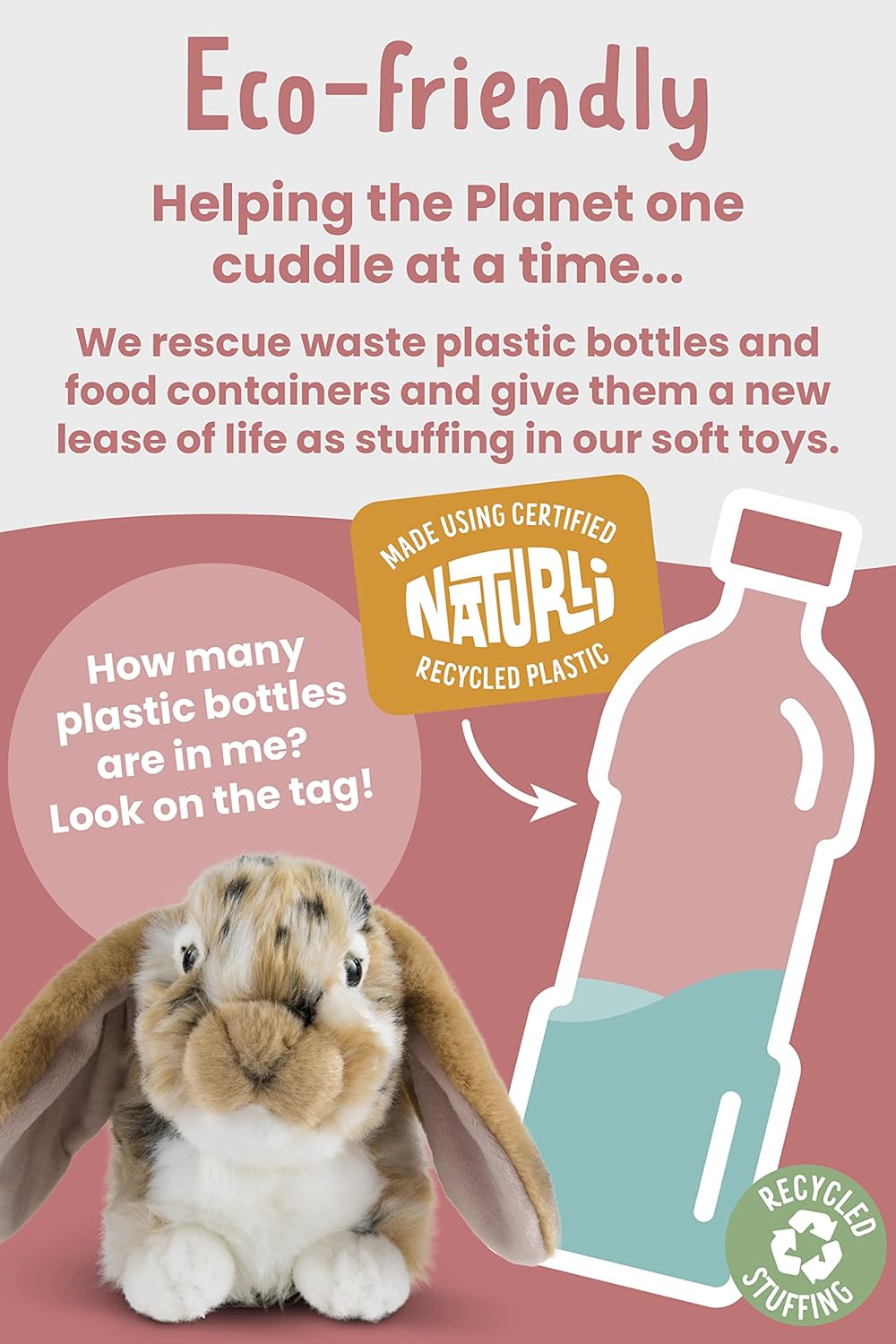 Brown Dutch Lop Rabbit Living Nature Eco friendly 