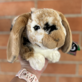 Brown Lop Rabbit by Living Nature front view of plush rabbit being held