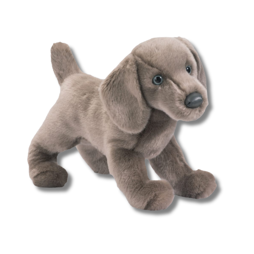 Plush toy dog on a white background