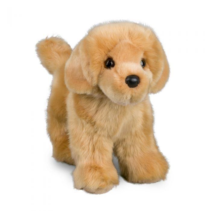 Plush dog toy on a white background