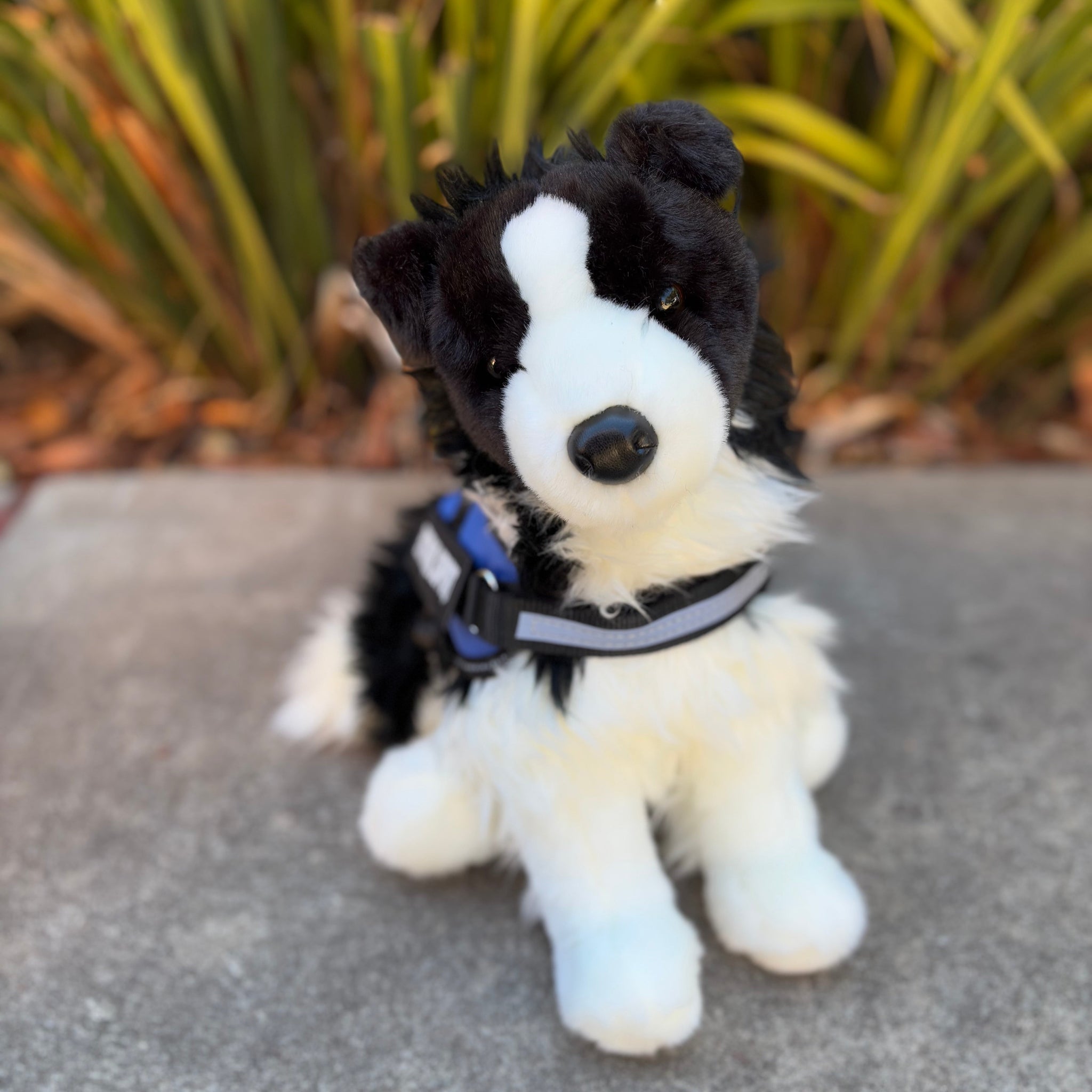 ぬいぐるみ Douglas Chase Border Collie Chase Border Collie - The Smiley Barn