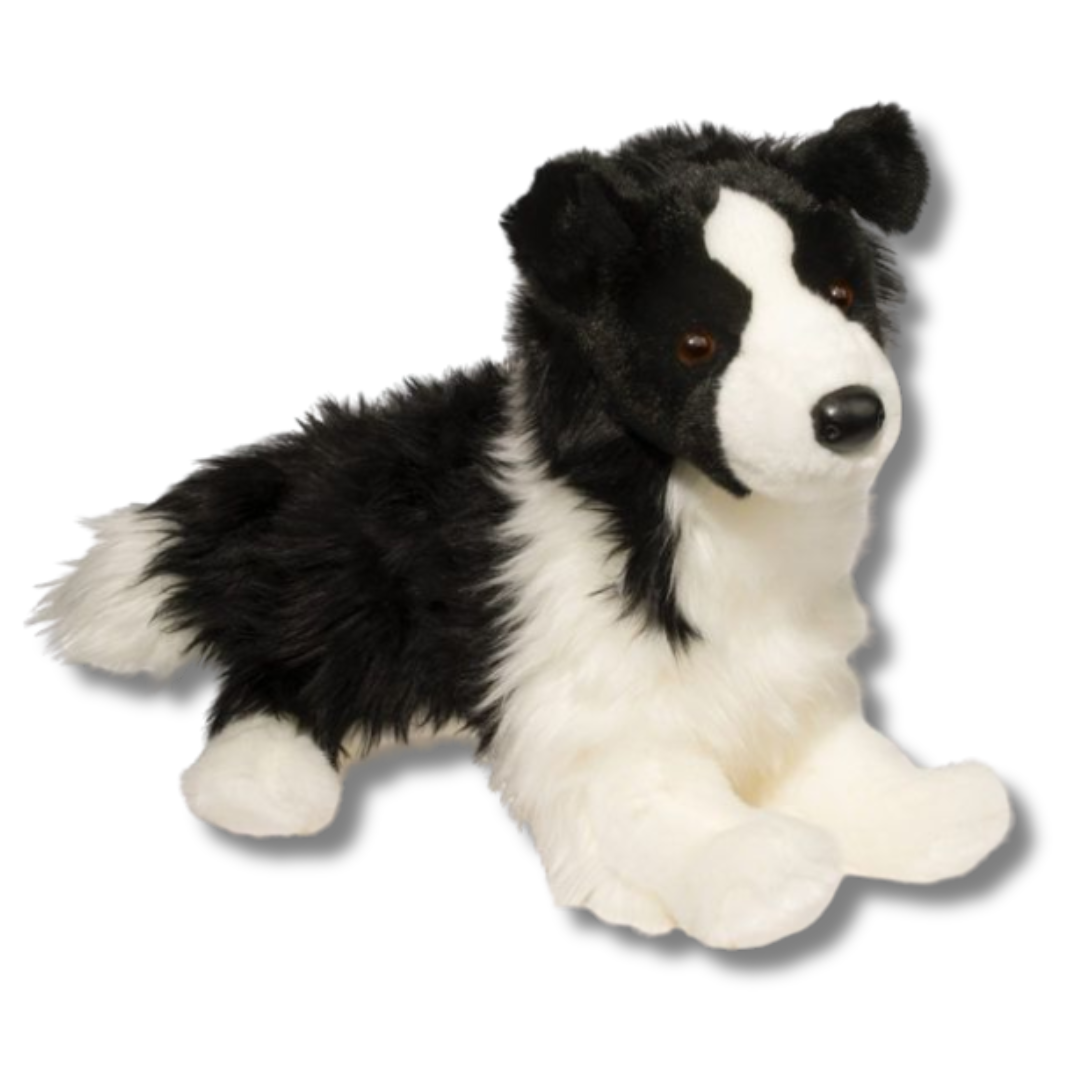 Chase the Border Collie Dog by Douglas Dog