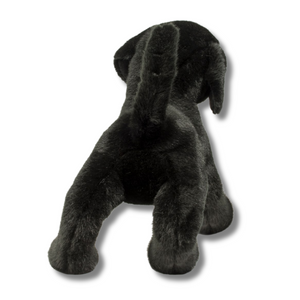 Chester Black Lab Douglas Dog Back view