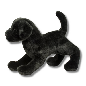 Chester Black Lab Douglas Dog side view