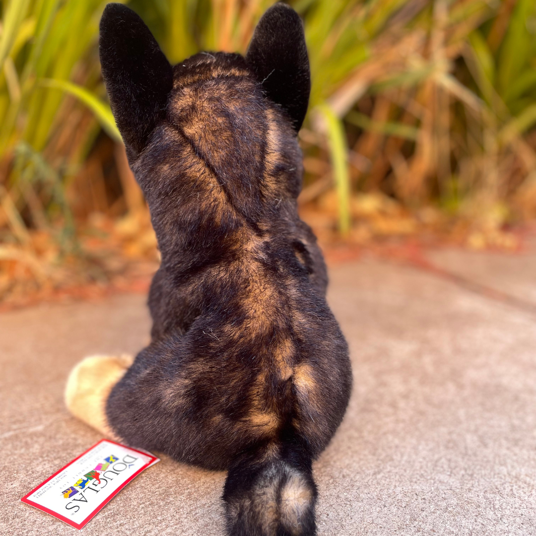 Chief German Shepherd by Douglas Dog back view sitting in front of bushes