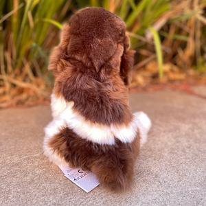 Chip_Springer_Spaniel_by_Douglas_Dog back view of plushie sitting in front of green bushes