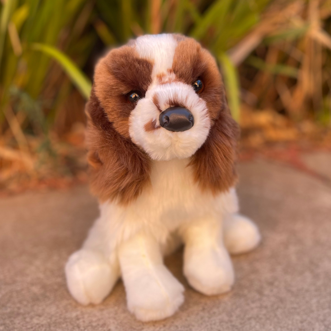 Chip_Springer_Spaniel_by_Douglas_Dog sitting in front of green bushes