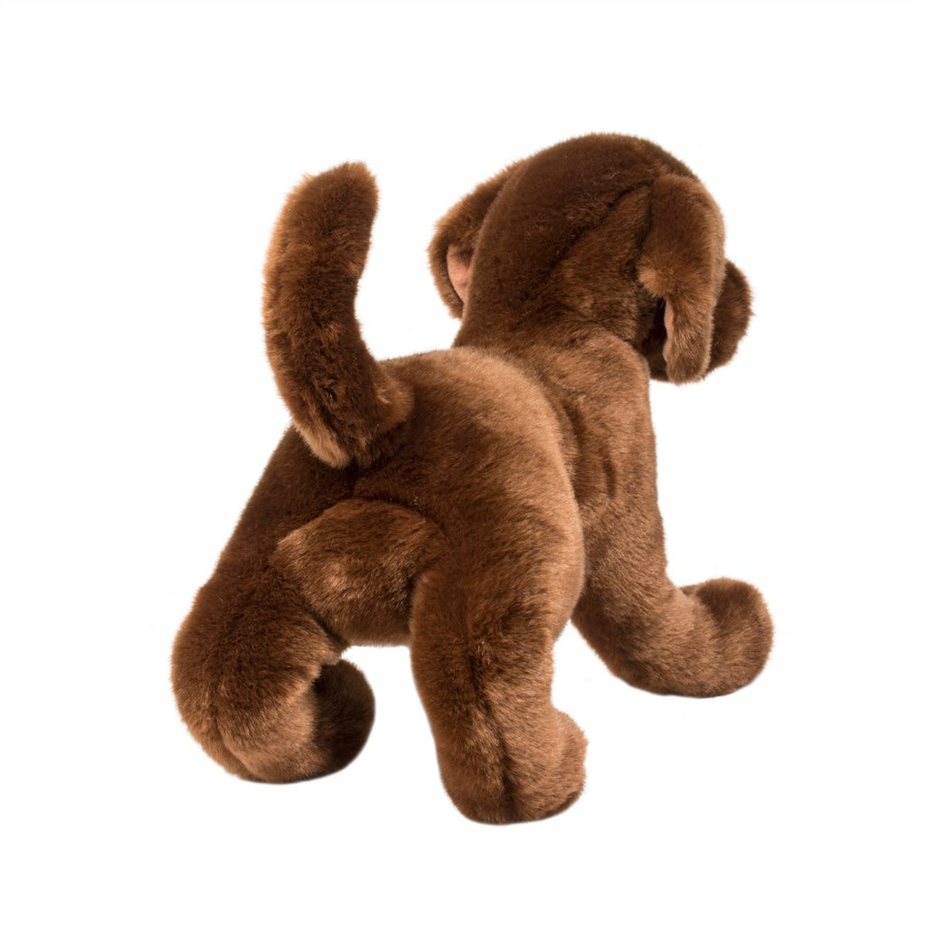 Chocolate Lab Douglas Dog rear view