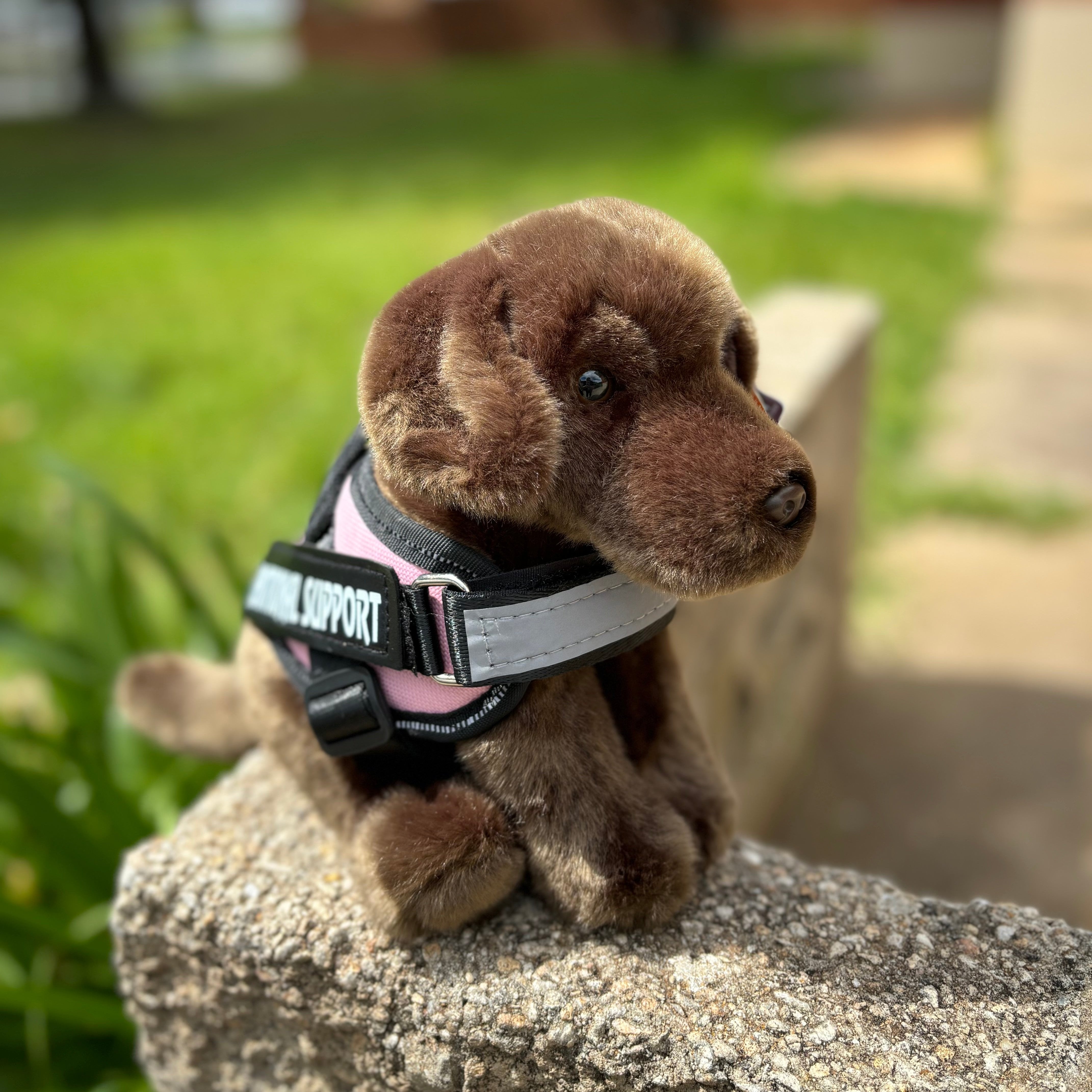 Chocolate Labrador - Plushie - ESSA - Living Nature - Emotional Support Stuffed Animal